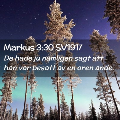 Picture 02 - Markus 3:30 SV1917 - De hade ju nämligen sagt att han var besatt av - Bible Verse Picture
