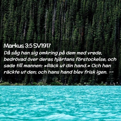 Picture 02 - Markus 3:5 SV1917 - Då såg han sig omkring på dem med vrede, - Bible Verse Picture
