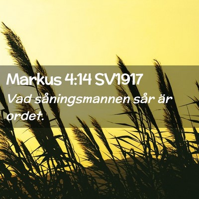 Picture 02 - Markus 4:14 SV1917 - Vad såningsmannen sår är - Bible Verse Picture