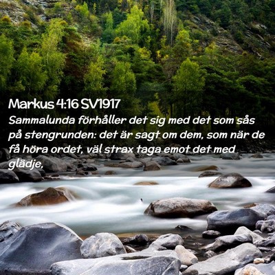 Picture 02 - Markus 4:16 SV1917 - Sammalunda förhåller det sig med det som sås - Bible Verse Picture