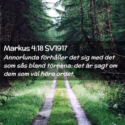 Picture 02 - Markus 4:18 SV1917 - Annorlunda förhåller det sig med det som sås - Bible Verse Picture