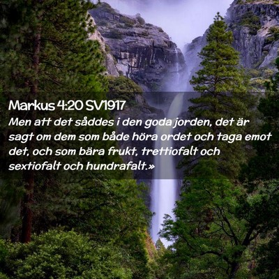 Picture 02 - Markus 4:20 SV1917 - Men att det såddes i den goda jorden, det är - Bible Verse Picture