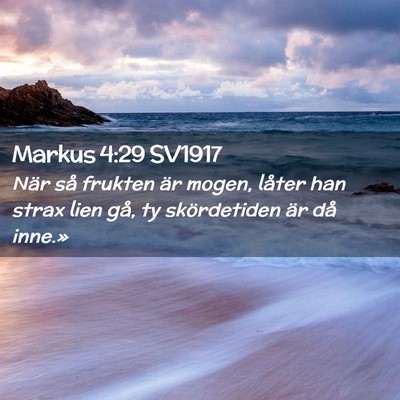 Picture 02 - Markus 4:29 SV1917 - När så frukten är mogen, låter han strax lien - Bible Verse Picture