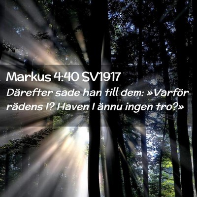 Picture 02 - Markus 4:40 SV1917 - Därefter sade han till dem: »Varför rädens I? - Bible Verse Picture