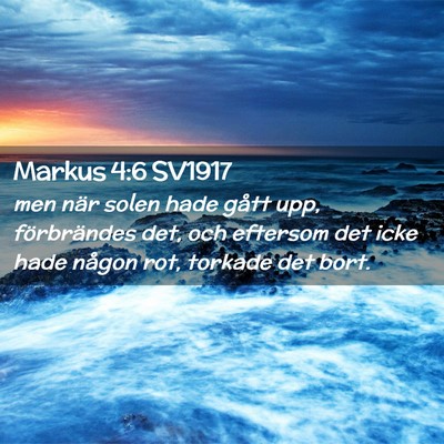 Picture 02 - Markus 4:6 SV1917 - men när solen hade gått upp, förbrändes det, - Bible Verse Picture