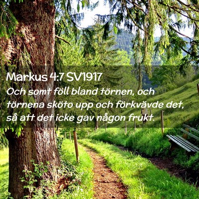 Picture 02 - Markus 4:7 SV1917 - Och somt föll bland törnen, och törnena sköto - Bible Verse Picture