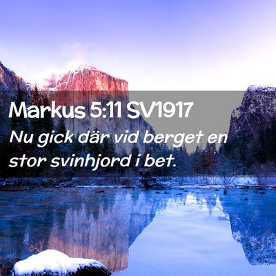 Picture 02 - Markus 5:11 SV1917 - Nu gick där vid berget en stor svinhjord i - Bible Verse Picture