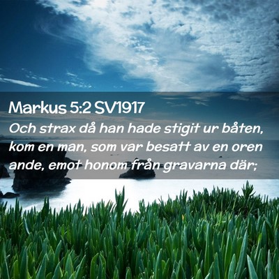 Picture 02 - Markus 5:2 SV1917 - Och strax då han hade stigit ur båten, kom en - Bible Verse Picture
