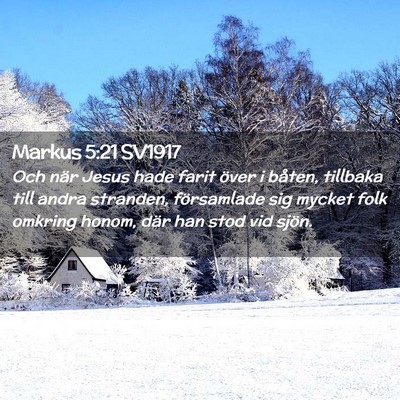 Picture 02 - Markus 5:21 SV1917 - Och när Jesus hade farit över i båten, - Bible Verse Picture