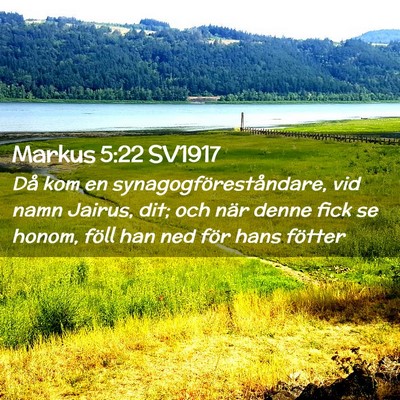 Picture 02 - Markus 5:22 SV1917 - Då kom en synagogföreståndare, vid namn - Bible Verse Picture