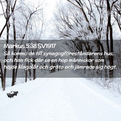 Picture 02 - Markus 5:38 SV1917 - Så kommo de till synagogföreståndarens hus, - Bible Verse Picture