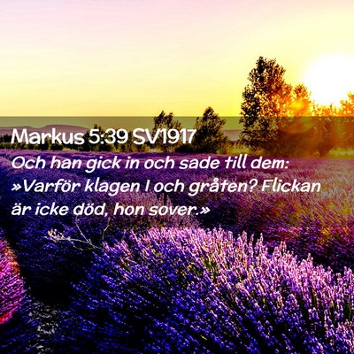 Picture 02 - Markus 5:39 SV1917 - Och han gick in och sade till dem: »Varför - Bible Verse Picture