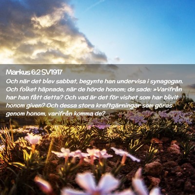 Picture 02 - Markus 6:2 SV1917 - Och när det blev sabbat, begynte han undervisa i - Bible Verse Picture
