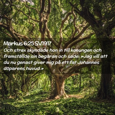 Picture 02 - Markus 6:25 SV1917 - Och strax skyndade hon in till konungen och - Bible Verse Picture