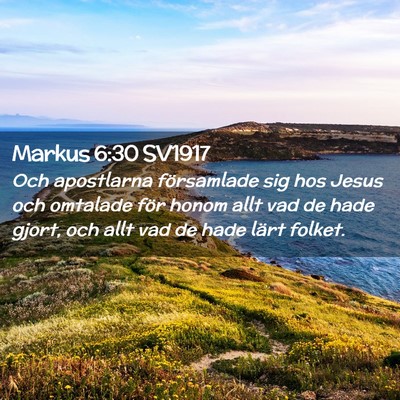 Picture 02 - Markus 6:30 SV1917 - Och apostlarna församlade sig hos Jesus och - Bible Verse Picture