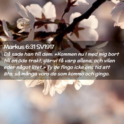 Picture 02 - Markus 6:31 SV1917 - Då sade han till dem: »Kommen nu I med mig bort - Bible Verse Picture