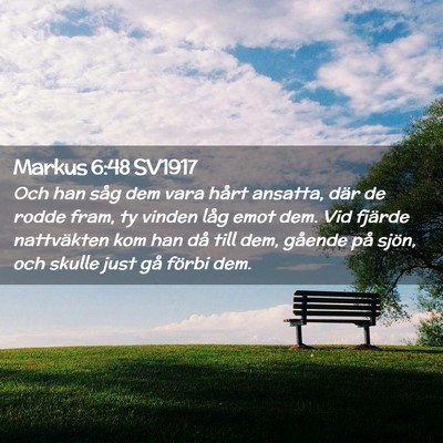 Picture 02 - Markus 6:48 SV1917 - Och han såg dem vara hårt ansatta, där de - Bible Verse Picture