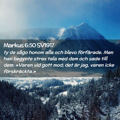 Picture 02 - Markus 6:50 SV1917 - ty de sågo honom alla och blevo förfärade. Men - Bible Verse Picture