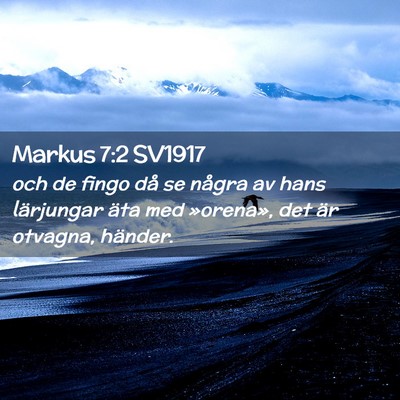 Picture 02 - Markus 7:2 SV1917 - och de fingo då se några av hans lärjungar - Bible Verse Picture