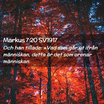Picture 02 - Markus 7:20 SV1917 - Och han tillade: »Vad som går ut ifrån - Bible Verse Picture
