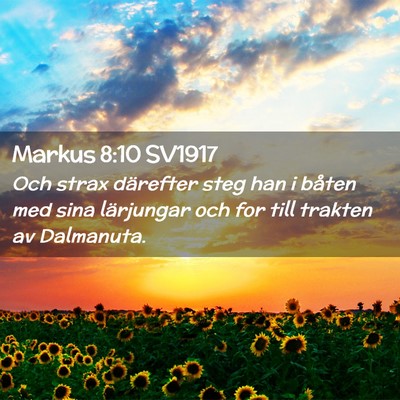 Picture 02 - Markus 8:10 SV1917 - Och strax därefter steg han i båten med sina - Bible Verse Picture