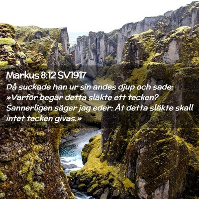 Picture 02 - Markus 8:12 SV1917 - Då suckade han ur sin andes djup och sade: - Bible Verse Picture