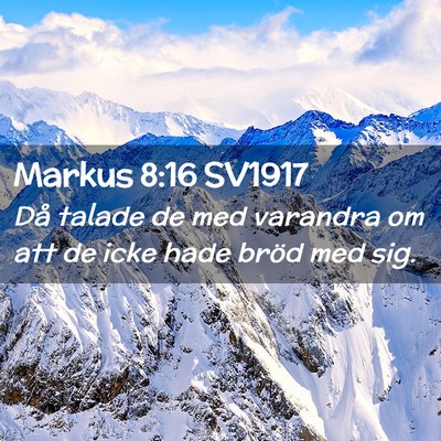 Picture 02 - Markus 8:16 SV1917 - Då talade de med varandra om att de icke hade - Bible Verse Picture