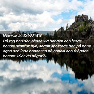 Picture 02 - Markus 8:23 SV1917 - Då tog han den blinde vid handen och ledde honom - Bible Verse Picture