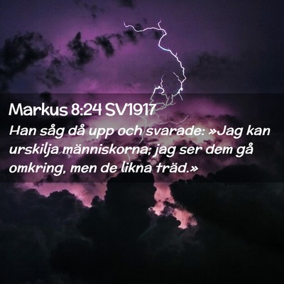 Picture 02 - Markus 8:24 SV1917 - Han såg då upp och svarade: »Jag kan urskilja - Bible Verse Picture