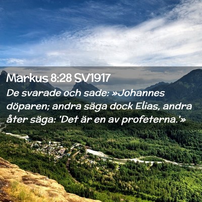 Picture 02 - Markus 8:28 SV1917 - De svarade och sade: »Johannes döparen; andra - Bible Verse Picture