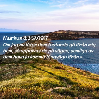 Picture 02 - Markus 8:3 SV1917 - Om jag nu låter dem fastande gå ifrån mig hem, - Bible Verse Picture