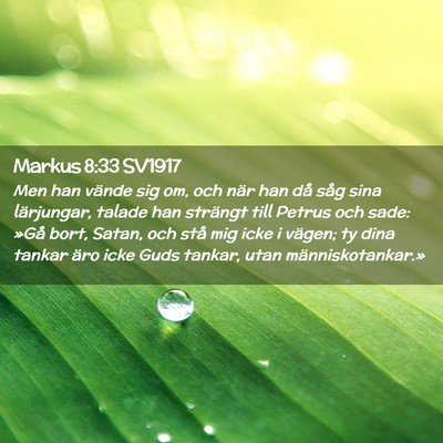 Picture 02 - Markus 8:33 SV1917 - Men han vände sig om, och när han då såg sina - Bible Verse Picture