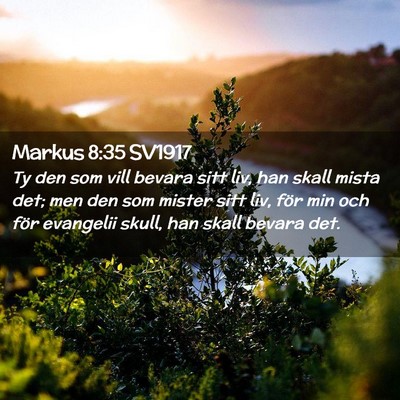 Picture 02 - Markus 8:35 SV1917 - Ty den som vill bevara sitt liv, han skall mista - Bible Verse Picture