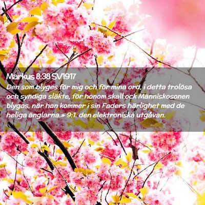 Picture 02 - Markus 8:38 SV1917 - Den som blyges för mig och för mina ord, i - Bible Verse Picture