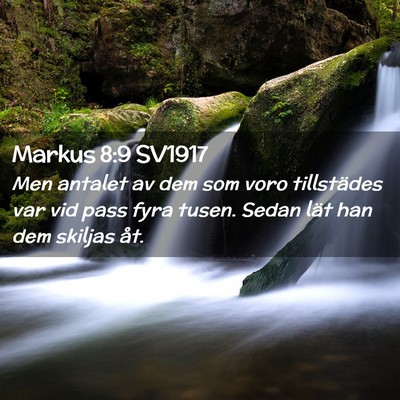 Picture 02 - Markus 8:9 SV1917 - Men antalet av dem som voro tillstädes var vid - Bible Verse Picture