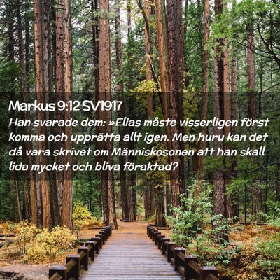 Picture 02 - Markus 9:12 SV1917 - Han svarade dem: »Elias måste visserligen - Bible Verse Picture