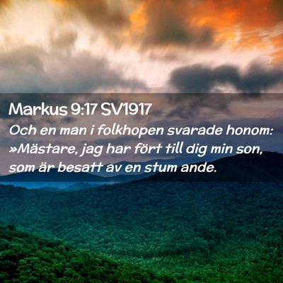 Picture 02 - Markus 9:17 SV1917 - Och en man i folkhopen svarade honom: »Mästare, - Bible Verse Picture