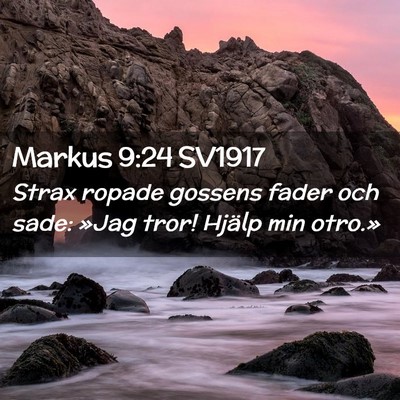 Picture 02 - Markus 9:24 SV1917 - Strax ropade gossens fader och sade: »Jag tror! - Bible Verse Picture