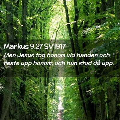 Picture 02 - Markus 9:27 SV1917 - Men Jesus tog honom vid handen och reste upp - Bible Verse Picture