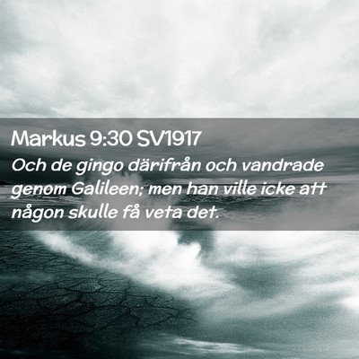 Picture 02 - Markus 9:30 SV1917 - Och de gingo därifrån och vandrade genom - Bible Verse Picture