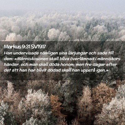 Picture 02 - Markus 9:31 SV1917 - Han undervisade nämligen sina lärjungar och - Bible Verse Picture