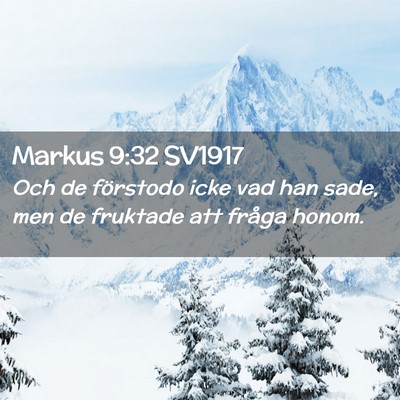 Picture 02 - Markus 9:32 SV1917 - Och de förstodo icke vad han sade, men de - Bible Verse Picture