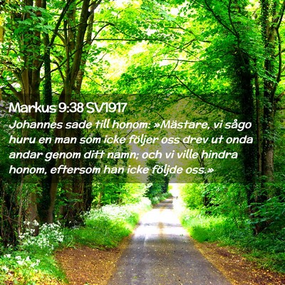 Picture 02 - Markus 9:38 SV1917 - Johannes sade till honom: »Mästare, vi sågo - Bible Verse Picture