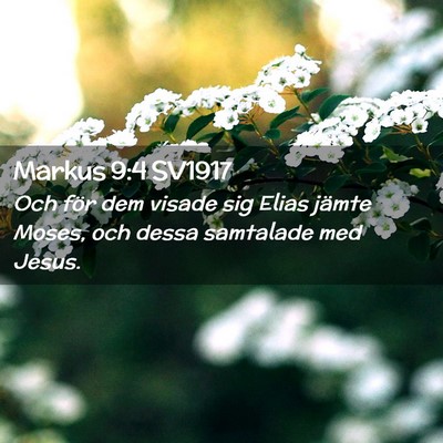 Picture 02 - Markus 9:4 SV1917 - Och för dem visade sig Elias jämte Moses, och - Bible Verse Picture
