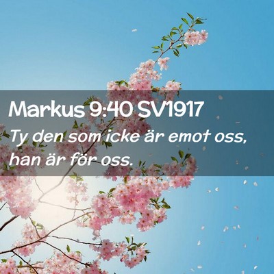 Picture 02 - Markus 9:40 SV1917 - Ty den som icke är emot oss, han är för - Bible Verse Picture