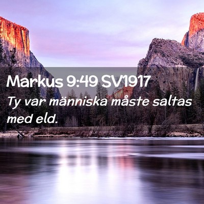 Picture 02 - Markus 9:49 SV1917 - Ty var människa måste saltas med - Bible Verse Picture