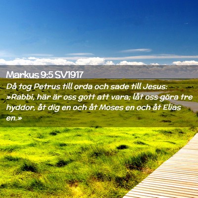Picture 02 - Markus 9:5 SV1917 - Då tog Petrus till orda och sade till Jesus: - Bible Verse Picture