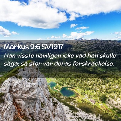 Picture 02 - Markus 9:6 SV1917 - Han visste nämligen icke vad han skulle säga; - Bible Verse Picture