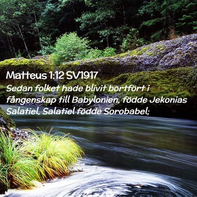 Picture 02 - Matteus 1:12 SV1917 - Sedan folket hade blivit bortfört i fångenskap - Bible Verse Picture