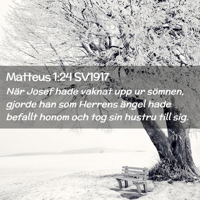 Picture 02 - Matteus 1:24 SV1917 - När Josef hade vaknat upp ur sömnen, gjorde han - Bible Verse Picture